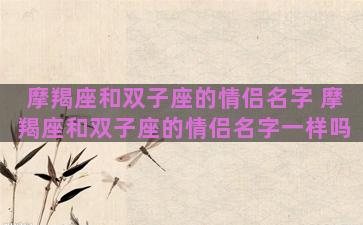 摩羯座和双子座的情侣名字 摩羯座和双子座的情侣名字一样吗